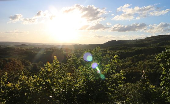 Blick in den S&uuml;dharz (Foto: nnz)