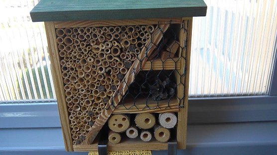 Blumenk&auml;sten auf dem Balkon mit bl&uuml;hendem Bienenfutter und  ein kleines Insektenhotel daneben nehmen auch Mauerbienen gern an. (Foto: Kurt Frank)