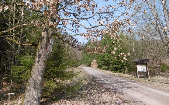 Wissenswertes &uuml;ber die Natur (Foto: Forstamt Bleicherode/S&uuml;dharz)