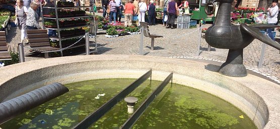 Stinkende Br&uuml;he im Rathausbrunnen (Foto: privat)