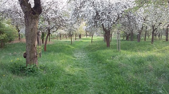 Hardt in Leimbach (Foto: Manfred K&ouml;nig)