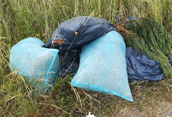 Einfach in die Natur gekippt (Foto: A. Knoblauch)