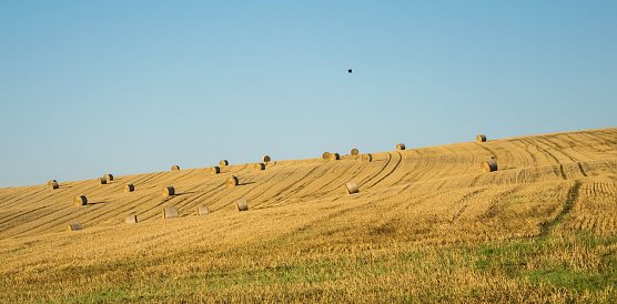 Wetterbild (Foto: Gernot Thelemann)