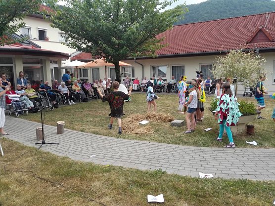 Vogelhochzeit im Sonnenhof (Foto: Danny Kais) Vogelhochzeit im Sonnenhof (Foto: Danny Kais)