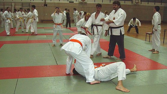 Kampfsport in Nordhausen (Foto: tk)