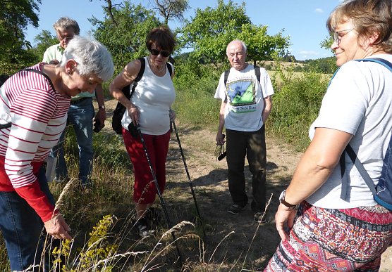 Unterwegs in der R&uuml;digsdorfer Schweiz (Foto: BUND Nordhausen)