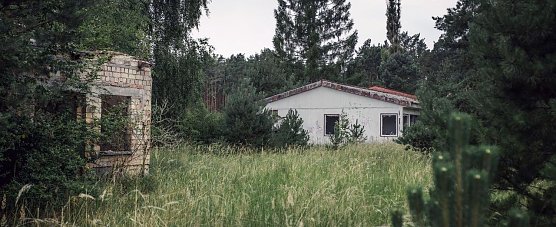 Die Natur holt sich Repente St&uuml;ck f&uuml;r St&uuml;ck zur&uuml;ck (Foto: V. Eisfeld)