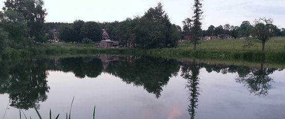 Abendstimmung in Sophienhof (Foto: Anja Apel)