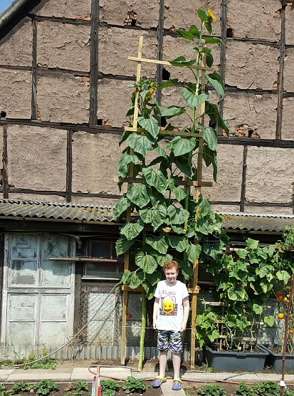 Riesig (Foto: privat)