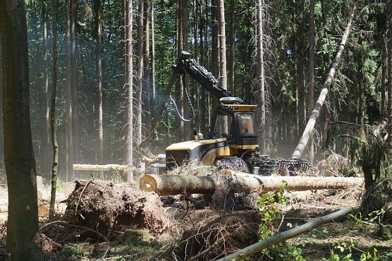Beseitigung von Schäden (Foto: Dr. Horst Sproßmann) Beseitigung von Schäden (Foto: Dr. Horst Sproßmann)