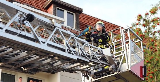 Papagei befreit (Foto: Feuerwehr Heiligenstadt) Papagei befreit (Foto: Feuerwehr Heiligenstadt)