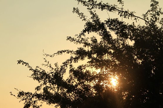 Wetterbild (Foto: Angelo Glashagel) Wetterbild (Foto: Angelo Glashagel)