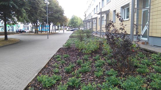 Ein Modellprojekt und die Kleinigkeiten am Rande (Foto: Kurt Frank)