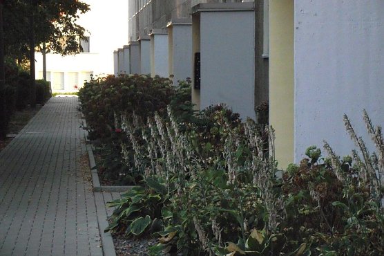 Ein Modellprojekt und die Kleinigkeiten am Rande (Foto: Kurt Frank)