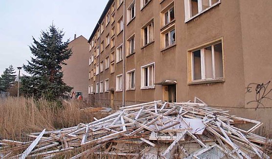 Arbeit f&uuml;r die Birne (Foto: nnz)