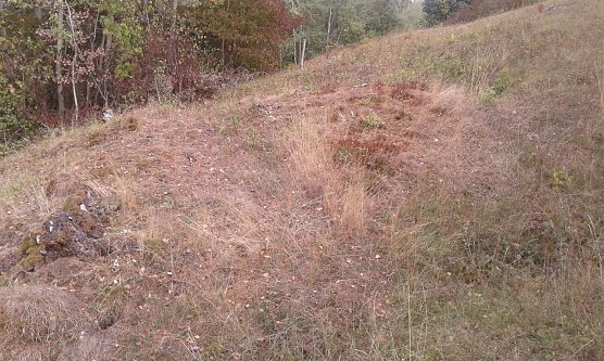 M&auml;hen gegen den Gipsabbau� (Foto: B. Schwarzberg)