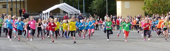 Herbstcross im Nordh&auml;user Gehege (Foto: nnz)