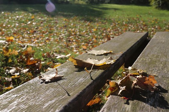 Wetterbild (Foto: Angelo Glashagel)