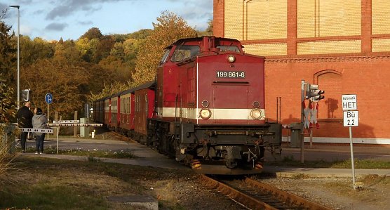 Harzkamel am Bahn&uuml;bergang Bochumer Stra&szlig;e (Foto: Bernd Thielbeer)