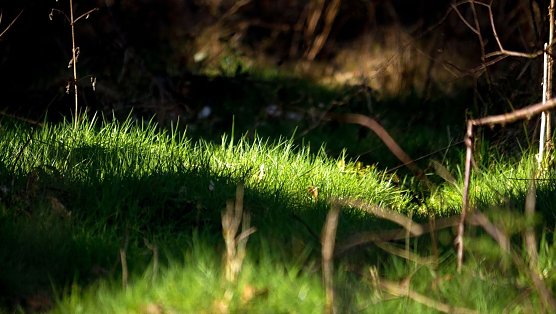 Wetterbild (Foto: Gernot Thelemann)