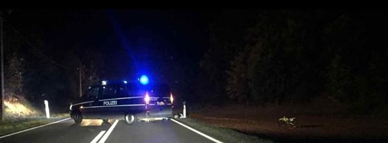 Unfallstelle (Foto: S. Dietzel)