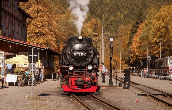 Goldener Herbst am Netzkater (Foto: Bernd Thielbeer)