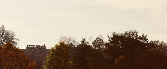 Holz-Lok &uuml;ber Neustadt (Foto: Angelo Glashagel)