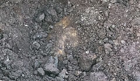 Gefundener Blindg&auml;nger (Foto: Firma Tauber)