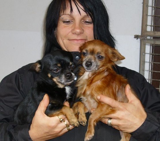 Tiere der Woche (Foto: C. Knust)