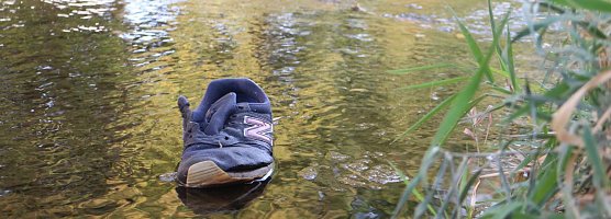 Aufräumaktion an der Zorge (Foto: Angelo Glashagel) Aufräumaktion an der Zorge (Foto: Angelo Glashagel)