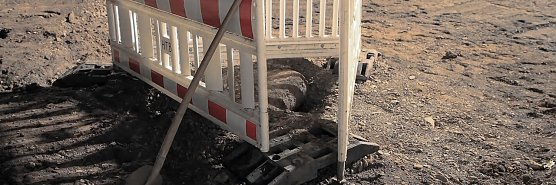 Der Blindg&auml;nger (Foto: S. Dietzel)