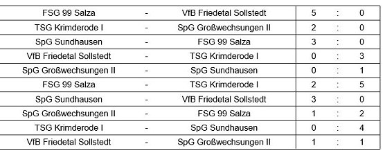 Hallenkreismeisterschaft D-Junioren (Foto: NTKFA) Hallenkreismeisterschaft D-Junioren (Foto: NTKFA)