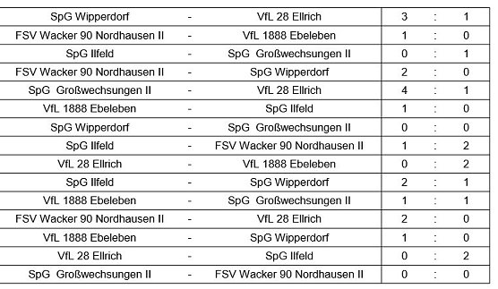 Hallenkreismeisterschaft C- und F-Junioren (Foto: NTKFA)