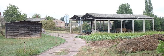 Am Schern im September dieses Jahres (Foto: nnz)