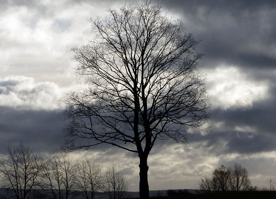 Wetterbild (Foto: nnz)