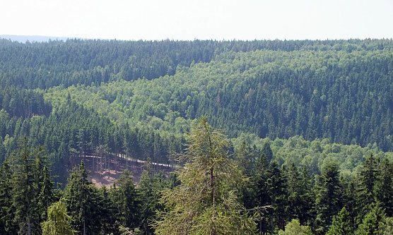 Der ehemalige Verlauf der innerdeutschen Grenze von der Th&uuml;ringer Warte gesehen, zu erkennen als helleres Laubwaldband (Foto: Martin Geisler)