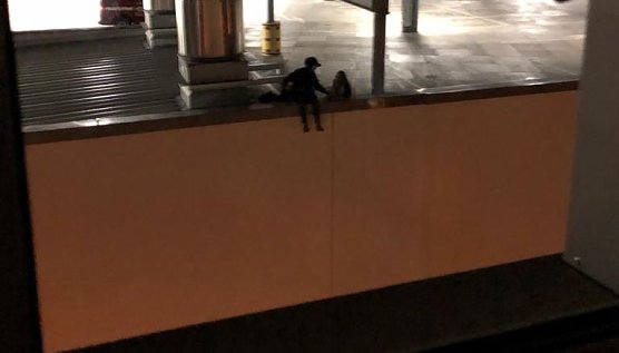 "Abenteuerlich" (Foto: privat)