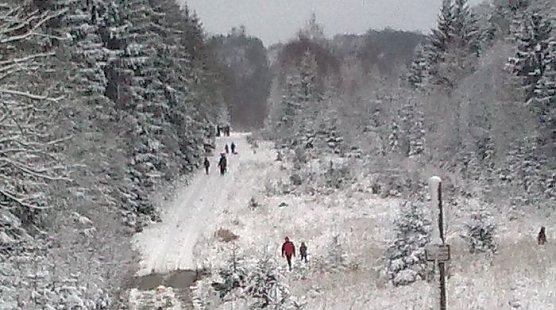 Selbst geschlagen (Foto: Forstamt)