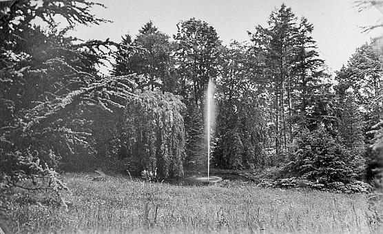 Historische Ansicht der Seerosenteiche (Foto: Sven Liss)