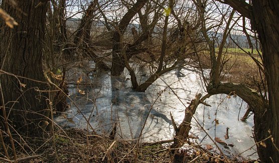 Wetterbild (Foto: Gernot Thelemann)