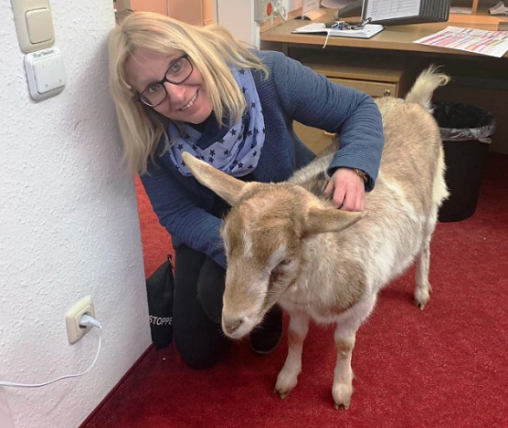 Tierischer Besuch im Sonnenhof (Foto: Danny Kais)