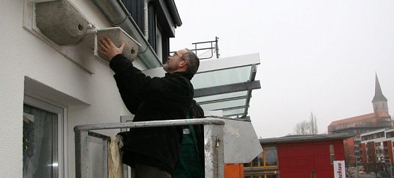 Nistkasten (Foto: M. Garke)