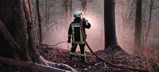 Fl&auml;chenbrand bei Gro&szlig;lohra (Foto: S. Dietzel)