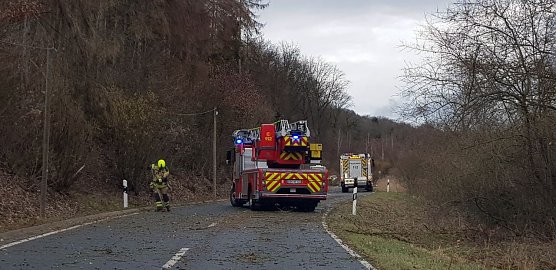 Im Bereich Obergrasm&uuml;hle (Foto: C. Wilhelm)