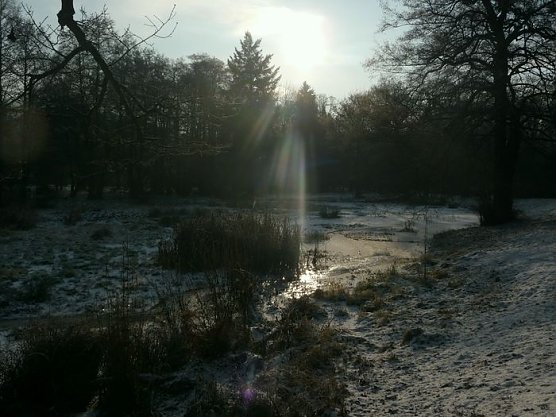 Winter im Park (Foto: nnz) Winter im Park (Foto: nnz)