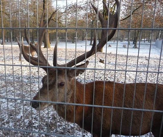 Winter im Park (Foto: nnz) Winter im Park (Foto: nnz)