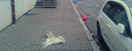 Plastikm&uuml;ll fliegt durch die Stadt (Foto: B. Schwarzberg)