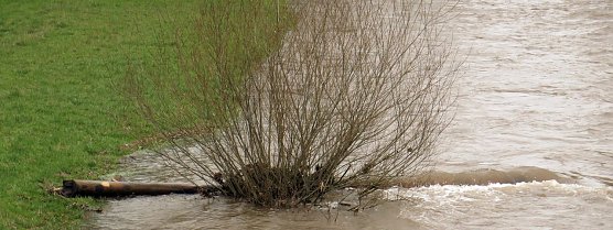 Die Zorge in Nordhausen, von der Br&uuml;cke in der Hesser&ouml;der Stra&szlig;e (Foto: nnz)