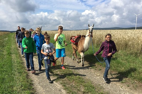 Ferienzeit 2017 mit dem Kreisjugendring (Foto: Kreisjugendring Nordhausen) Ferienzeit 2017 mit dem Kreisjugendring (Foto: Kreisjugendring Nordhausen)