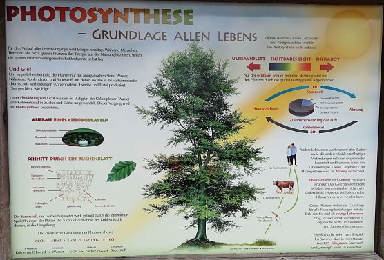 Neue Info-Tafeln rund um die heimische Natur (Foto: W. J&ouml;rgens)